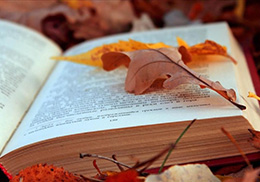 libro y hojas secas caídas de los árboles
