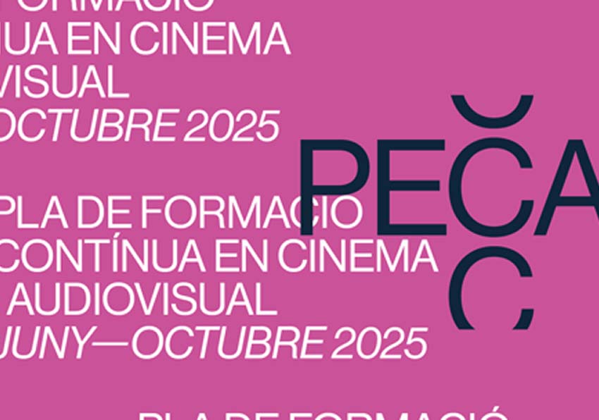 Logo PECA. 