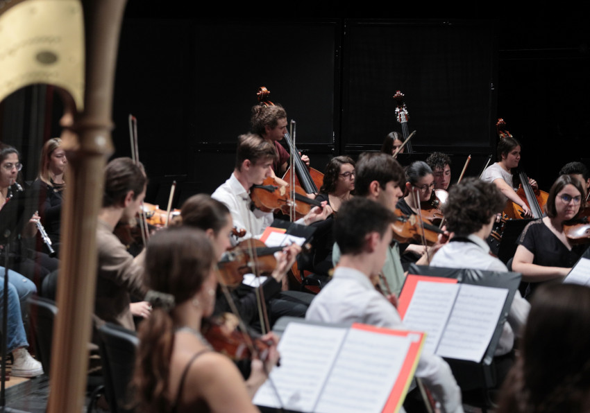 Imatge del esdeveniment:Secció de l'Orquestra en un concert.