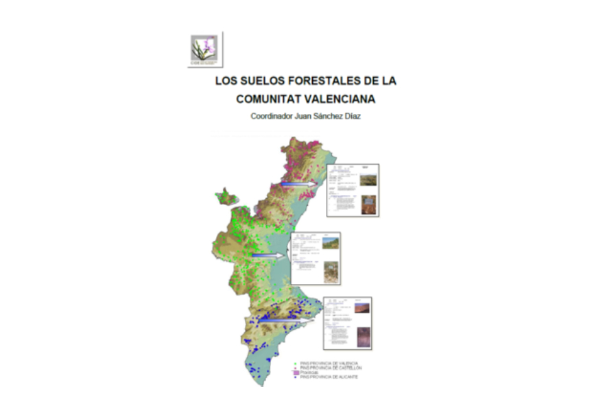 Image de la noticia