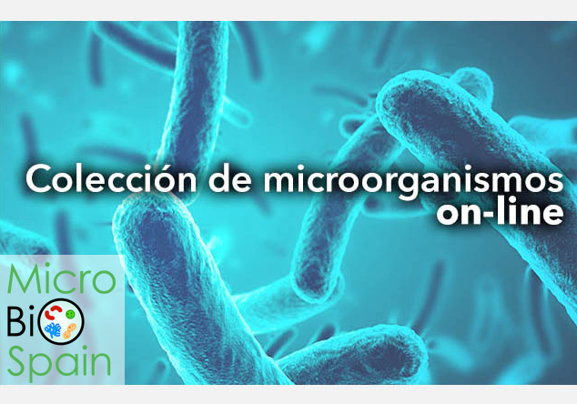 MicroBioSpain: la colección de microorganismos españoles accesible “on-line”