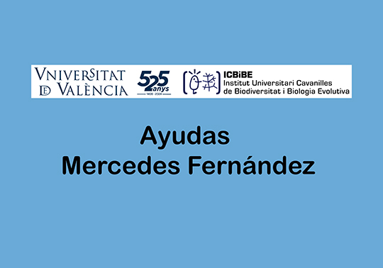 Image de la noticia