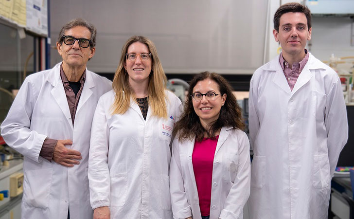 Equipo investigador