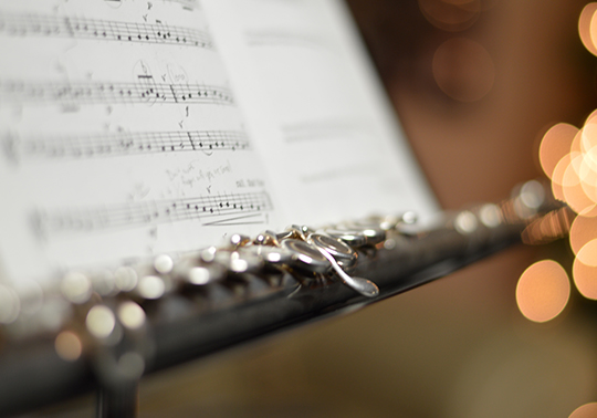 Clarinete Detalle
