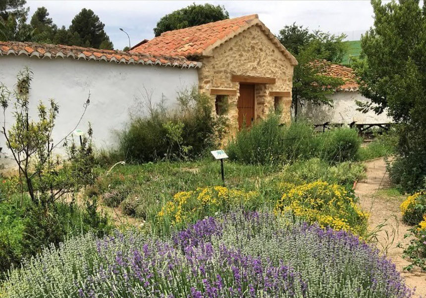 Jardí Etnobotànic de Plantes Medicinals i Útils d’Ares dels Oms.
