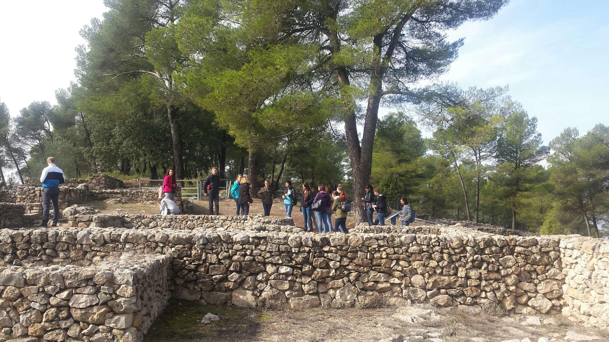 Estudiants Erasmus (curs 2016-2017) en la Bastida dels  Alcusses, Moixent. Foto: Unitat de suport.