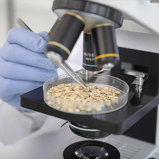 Representative picture of the project
