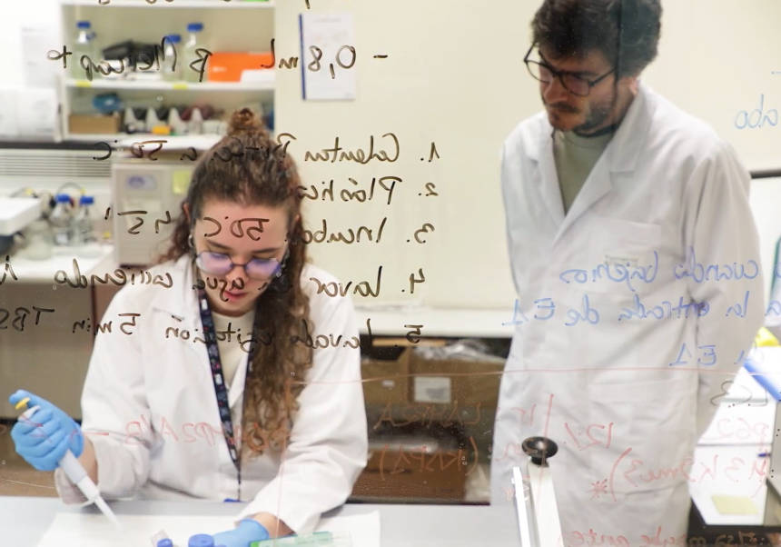 Dos investigadors treballen al Laboratori d'Autofàgia i Nutrició Oncològica de la UV.