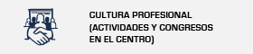 Cultura professional