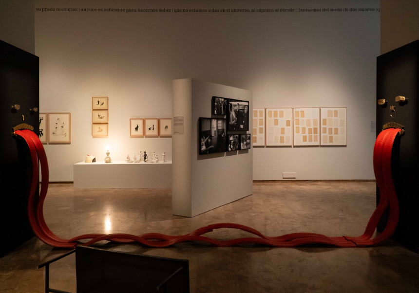 Vista de l'exposició. Ricardo Ruiz-Altrestudi.