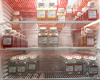 Representative picture of the project