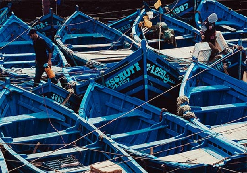 pesca