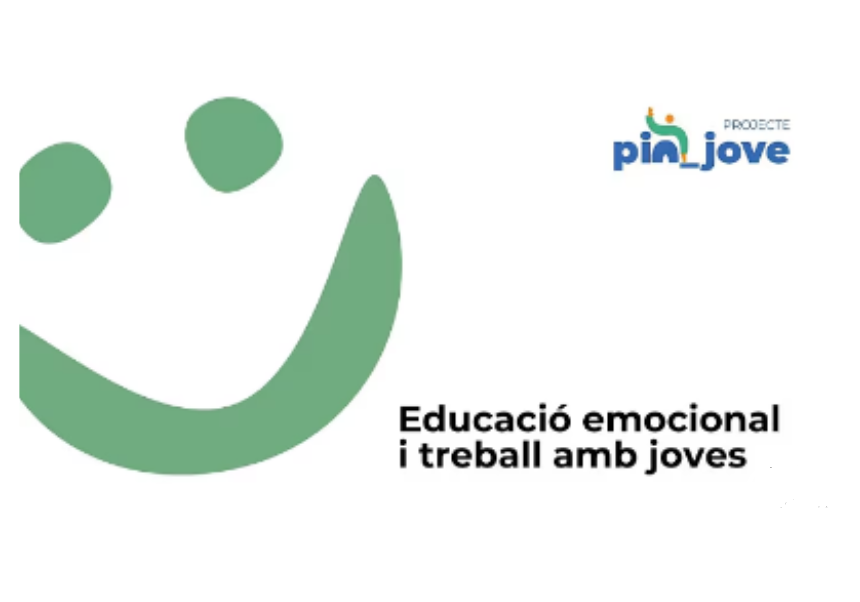 PinJove 2 Càtedra Joventut UV