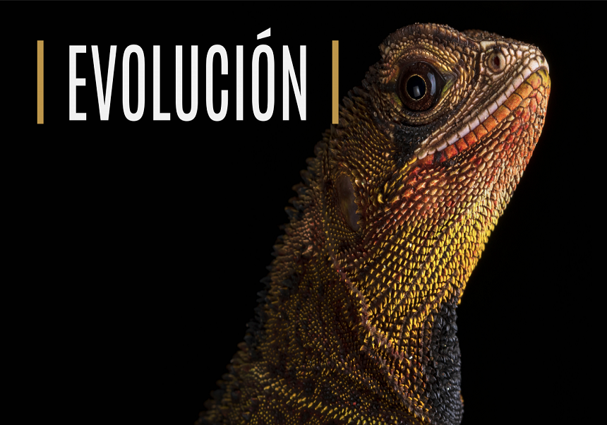 Exposició al Jardí Bontànic: Evolución