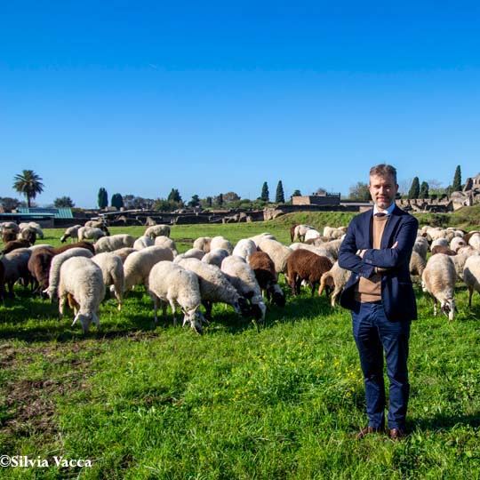 Foto de un hombre, ovejas y de fondo un poblado