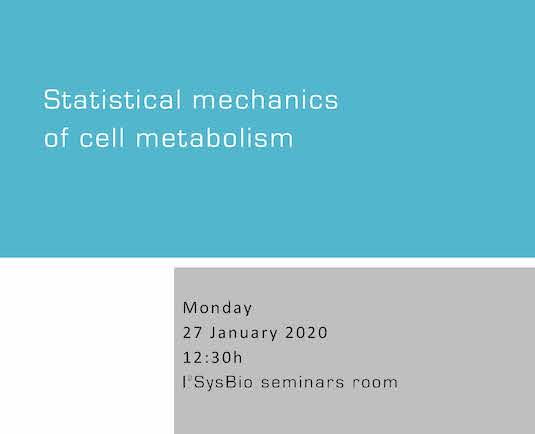 Statistical mechanics of cell metabolism