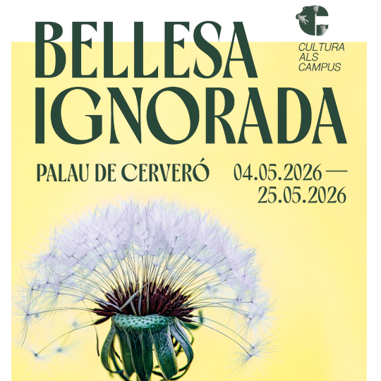 Imagen de flor