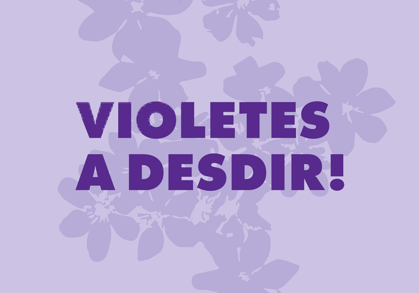 Image de la noticia