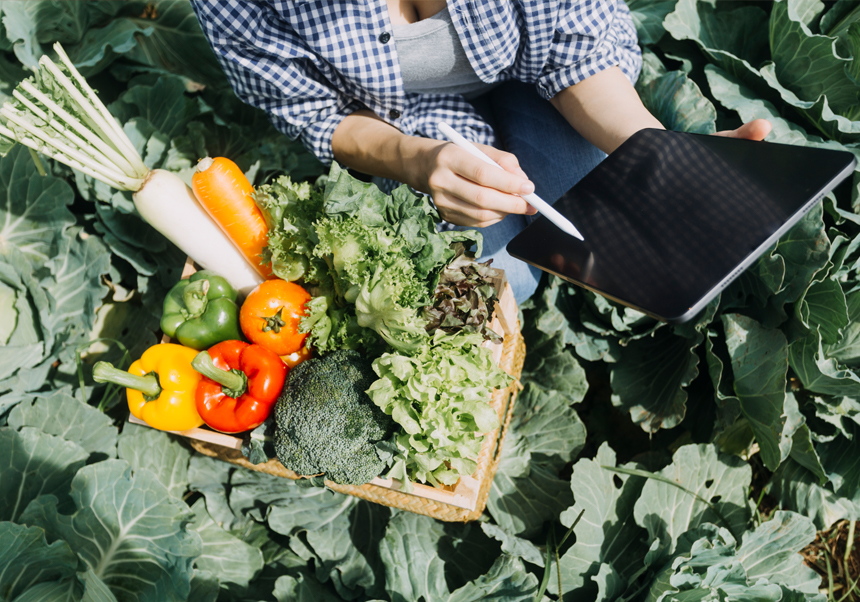 Agricultora comprobando datos en una tablet.