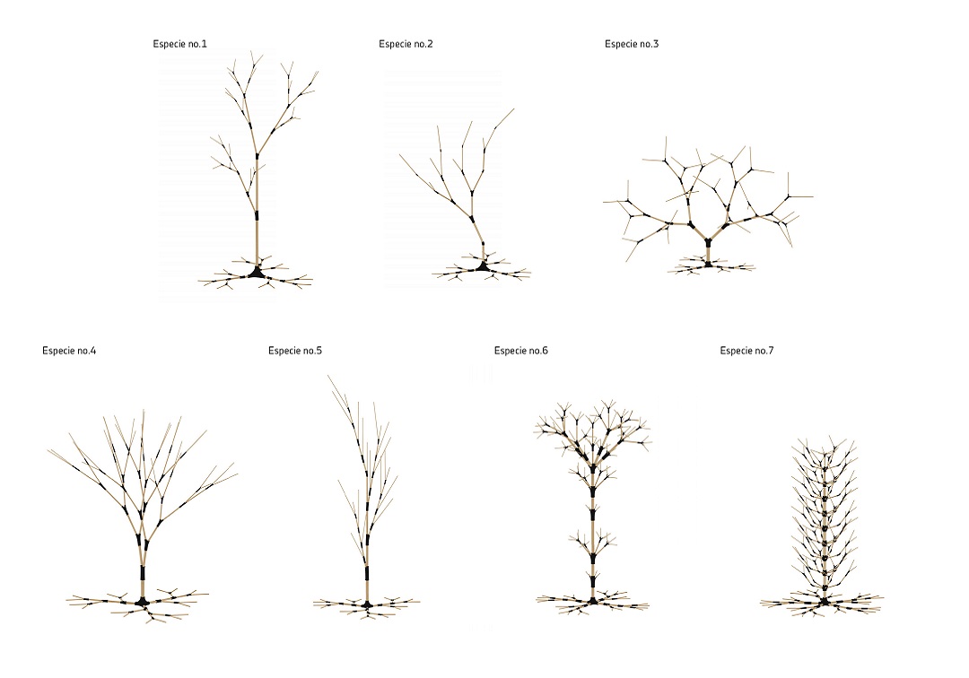 Reproducció de l'obra 'Herbes algorítmiques' de Salva Serrano