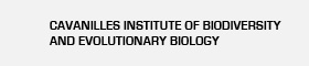 Cavanilles Institute of Diversity and Evolutionary Diversity