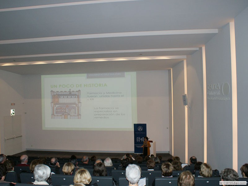 Conferència Teresa Garrigues 22/11/2012