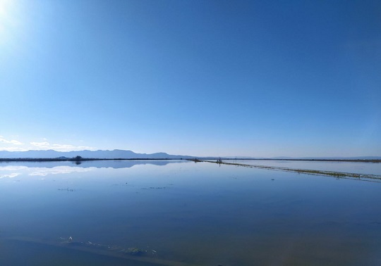 Campos de Sueca inundados