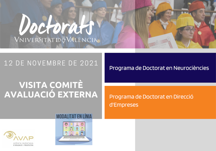 Visita comitè avaluació externa (doctorat)