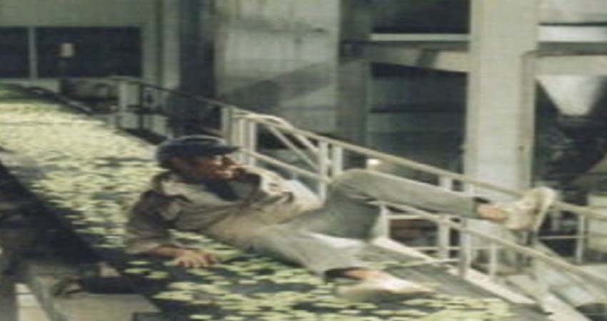 Frame. A man lying on the ground