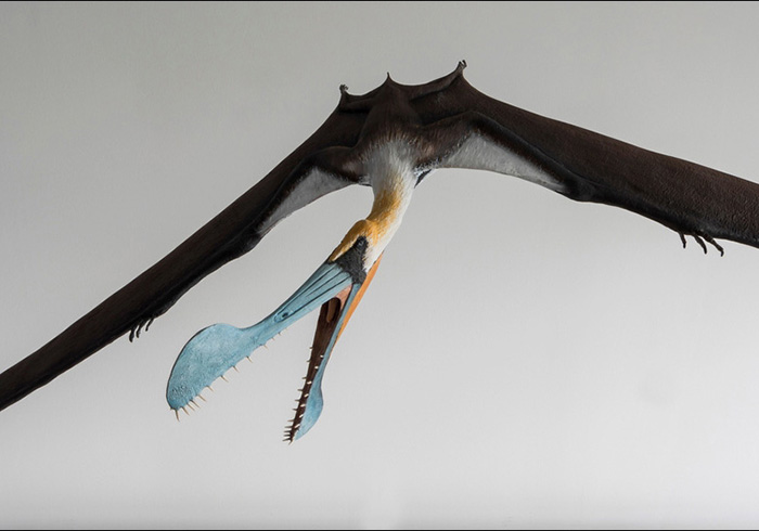 Ejemplar de tropeognathus