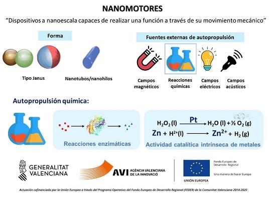 Image de la noticia