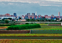 imagen de la huerta