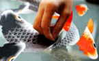 Brocade
