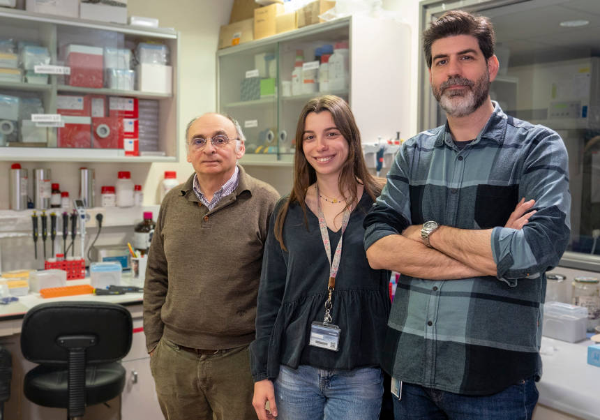 D’esquerra a dreta: Federico Pallardó, Patricia Rodríguez i Carlos Romá.