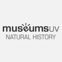 Natural History Museum of the Valencia University