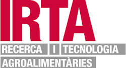 Image de la noticia