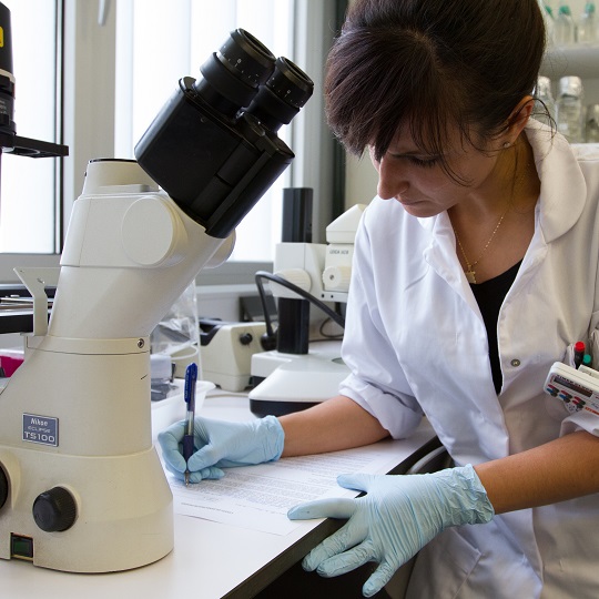 Una estudiant amb un microscopi.