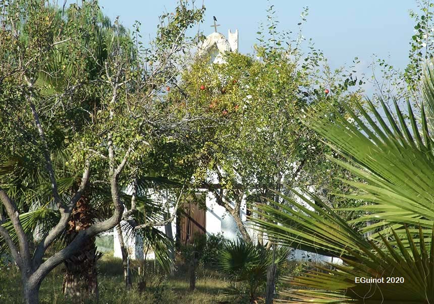 Barraca de Lluch (El Palmar)