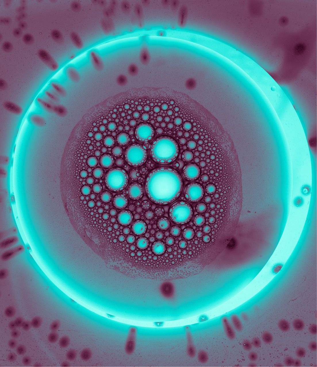 Virus