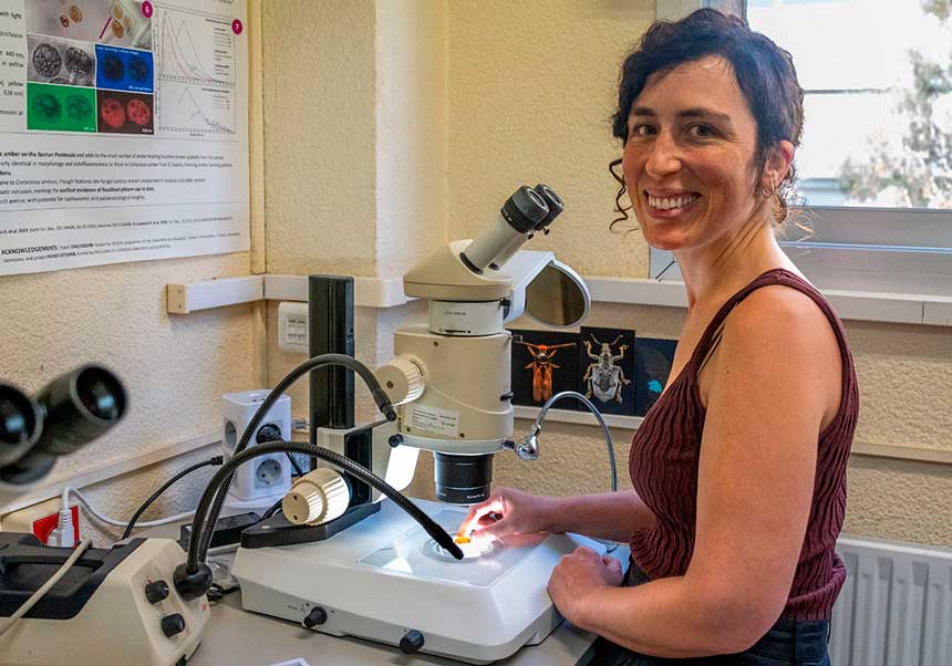 Article en la Revista Mètode de la professora del departament de Botànica i Geologia de la Facultat de Ciències Biològiques, Alba Sánchez, sobre la preservació fòssil en l'ambre