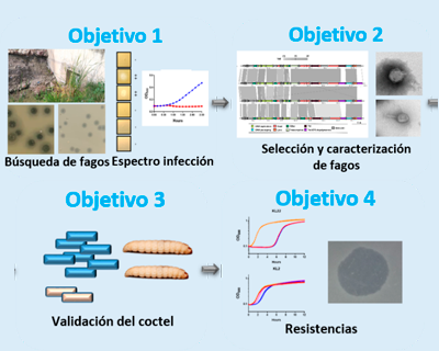 Imatge representativa del projecte