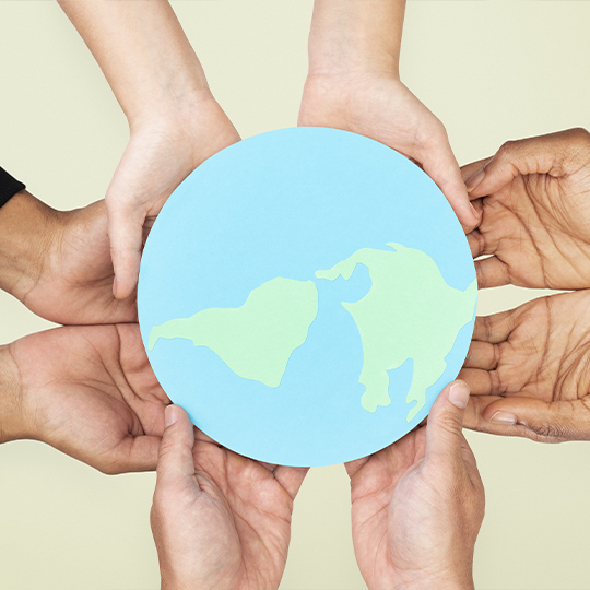 Imagen representativa del proyecto