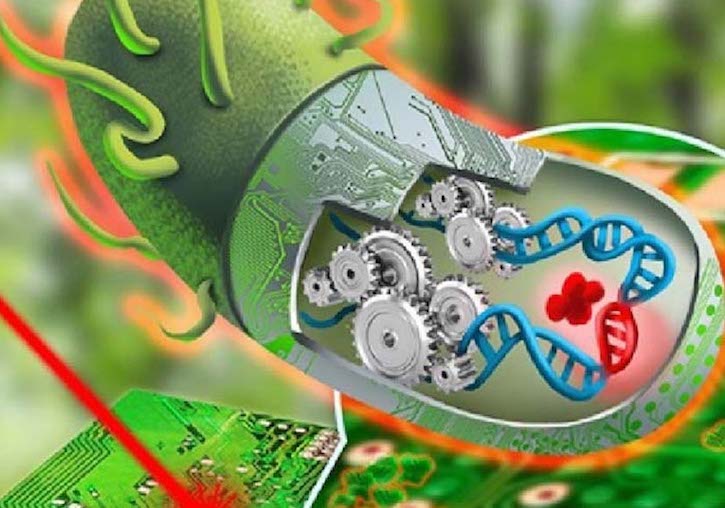 Biología Sintética