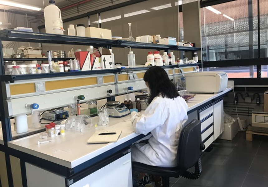 Nou procediment de síntesi assistida per microones de sílice porosa
