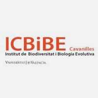 ICBIBE