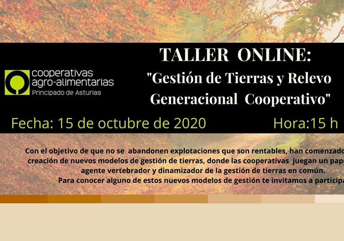 Taller On-line: 