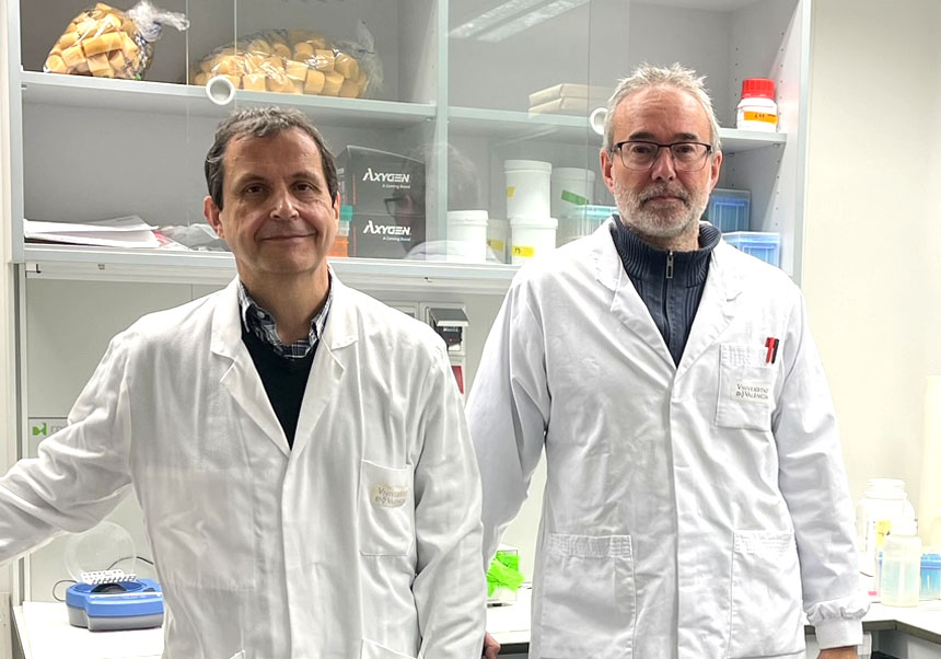 Rubén Artero and Arturo López, researchers at the University Institute of Biotechnology and Biomedicine (BIOTECMED) of the University of Valencia.