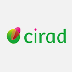 Cirad