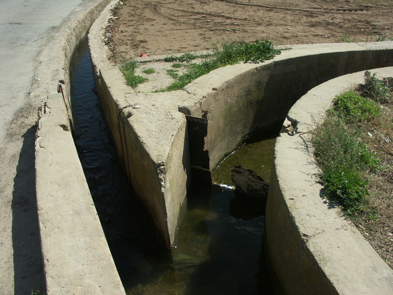 Miralles tongues of land