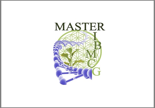logo del master